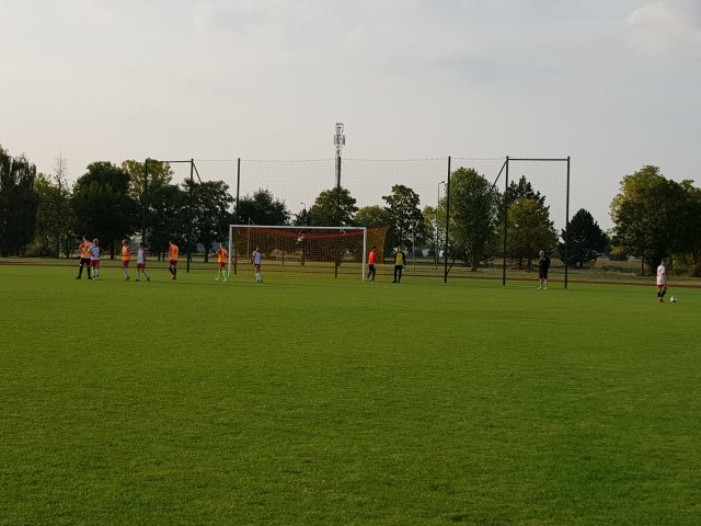 dor 15
